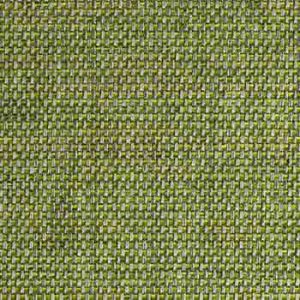 Kiko - Blue, Green, Kiko-Kale-9807