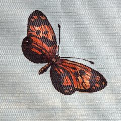 9665_Butterfly Sky_DET