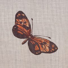 9667_Butterfly Sky_DET