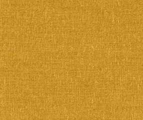 CAMENGO_JAN22_BRUGES2 OCRE_SWATCH 286 X 240