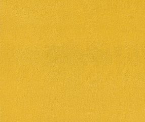 CAMENGO_JAN22_ZENITH SOLEIL_SWATCH